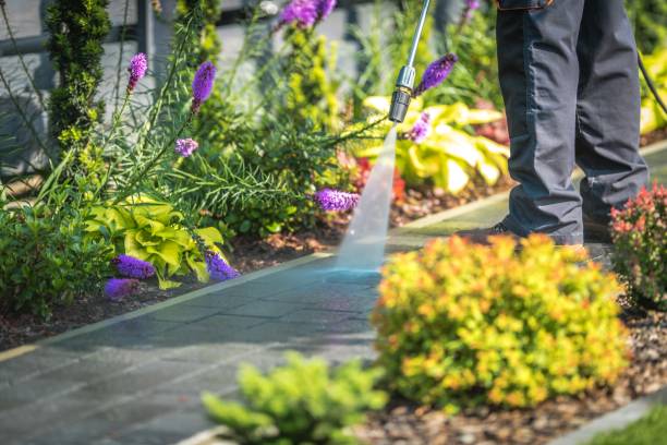 Best Patio and Deck Pressure Washing  in Point Marion, PA